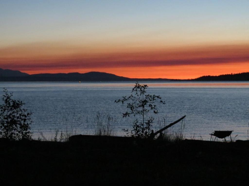 Maxwelton Beach Sunsets! Kayaks & Paddleboards! 1 Min Walk To The Water! Clinton Dış mekan fotoğraf